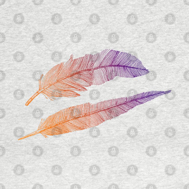 Feathers by pakowacz